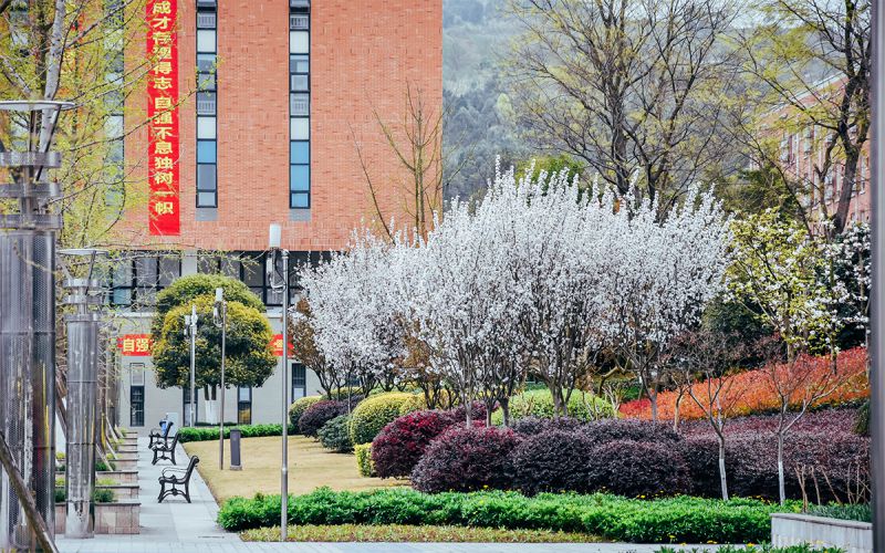 西南交通大学希望学院_校园风光_学校景色