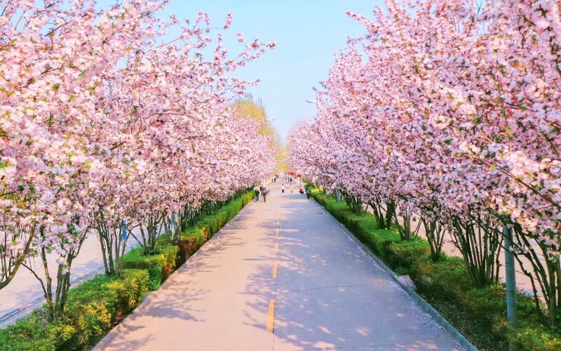 燕京理工学院_校园风光_学校景色