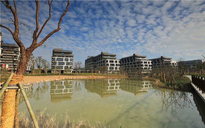 浙江师范大学行知学院_校园风光_学校景色