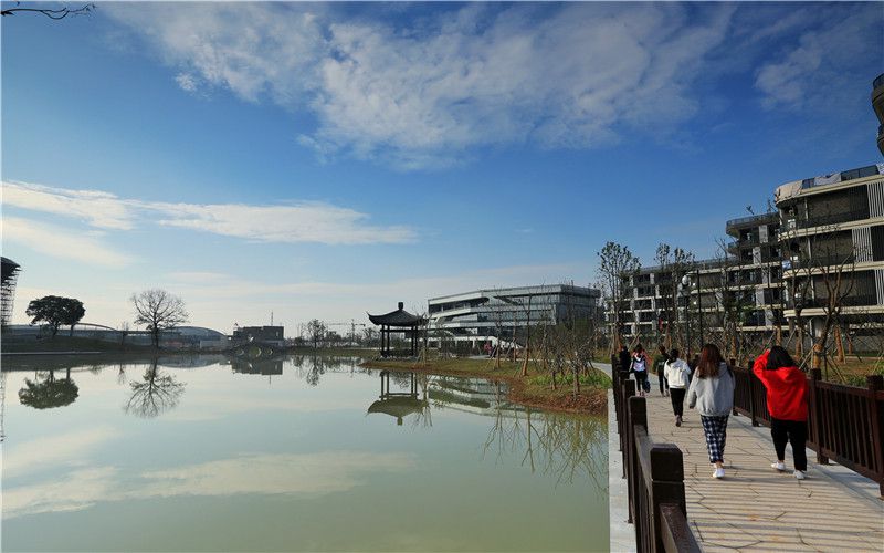 浙江师范大学行知学院_校园风光_学校景色