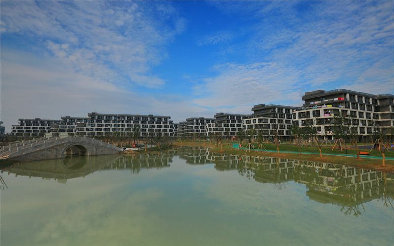 浙江师范大学行知学院_校园风光_学校景色