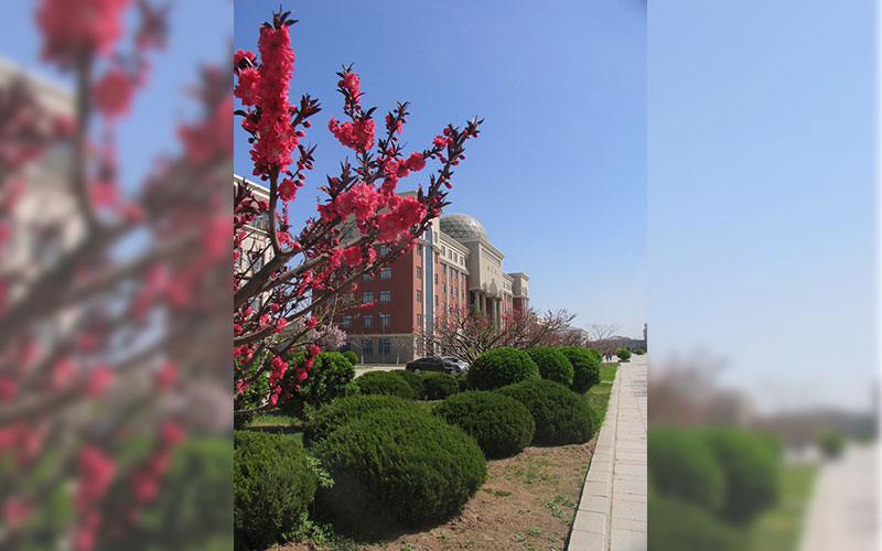 南开大学滨海学院_校园风光_学校景色