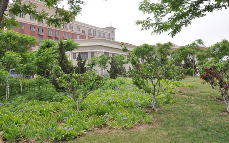 南开大学滨海学院_校园风光_学校景色