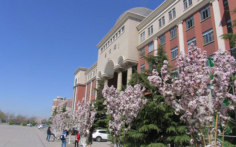 南开大学滨海学院_校园风光_学校景色