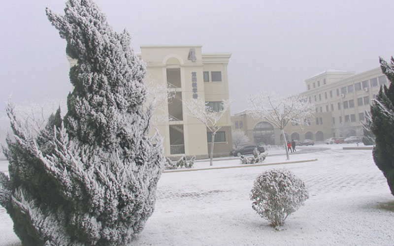 南开大学滨海学院_校园风光_学校景色