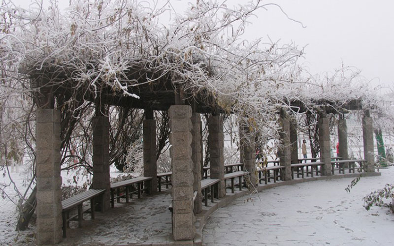 南开大学滨海学院_校园风光_学校景色