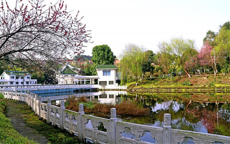 重庆信息技术职业学院_校园风光_学校景色