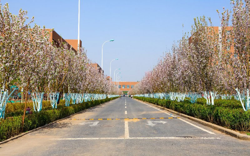 天津中德应用技术大学_校园风光_学校景色