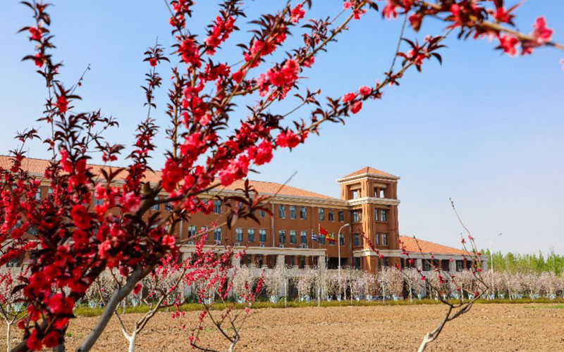 天津中德应用技术大学_校园风光_学校景色