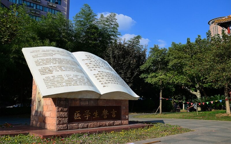 复旦大学上海医学院_校园风光_学校景色