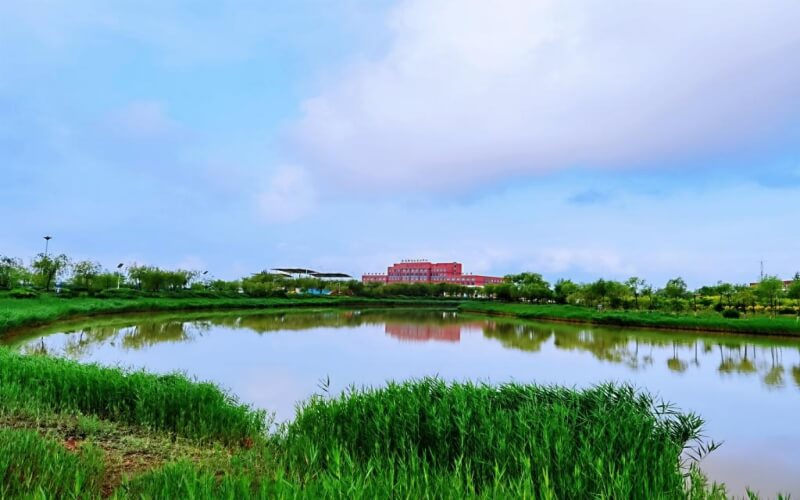 石嘴山工贸职业技术学院_校园风光_学校景色