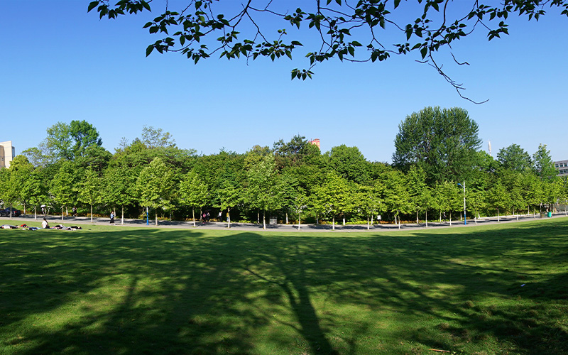 信阳师范大学_校园风光_学校景色