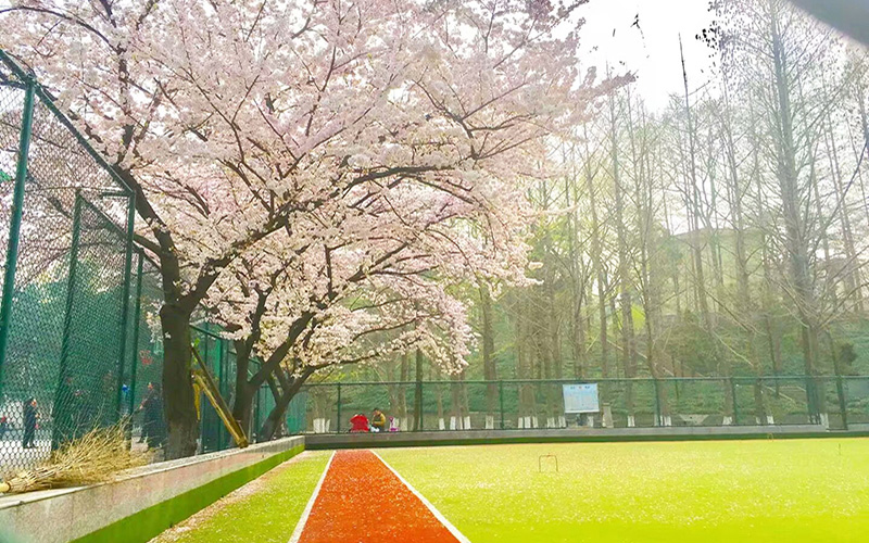 信阳师范大学_校园风光_学校景色