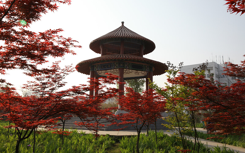 信阳师范大学_校园风光_学校景色