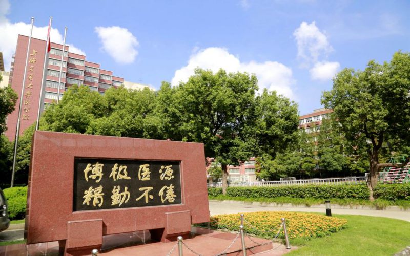 上海交通大学医学院_校园风光_学校景色