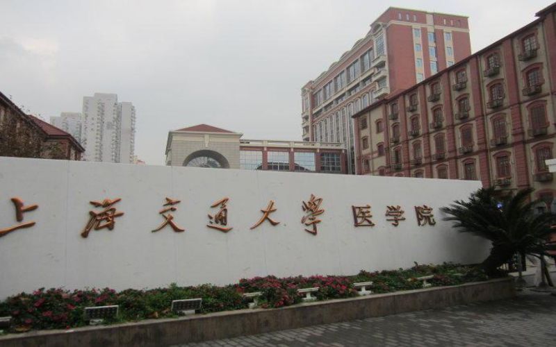 上海交通大学医学院_校园风光_学校景色