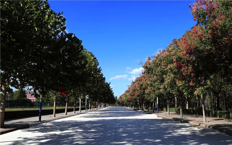 石家庄信息工程职业学院_校园风光_学校景色