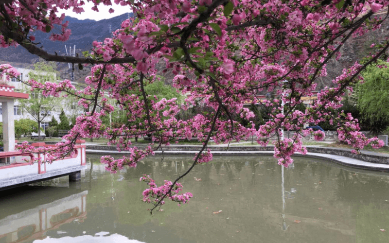 四川民族学院_校园风光_学校景色