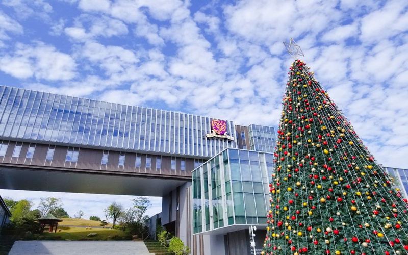 香港中文大学（深圳）_校园风光_学校景色