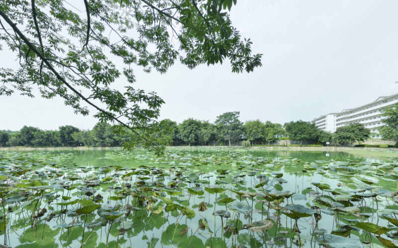 广西经济职业学院_校园风光_学校景色