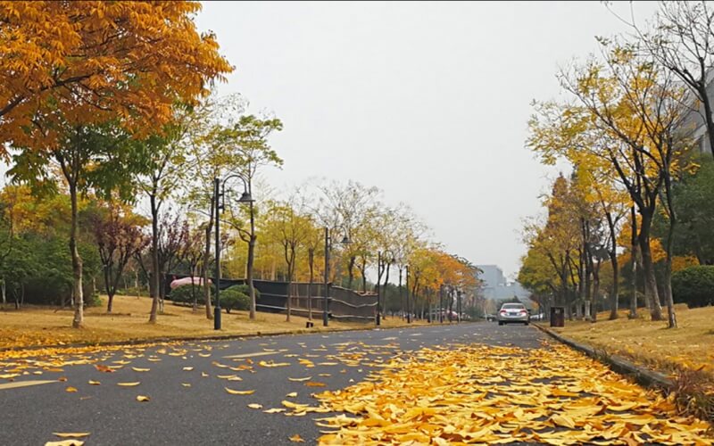 浙江商业职业技术学院_校园风光_学校景色