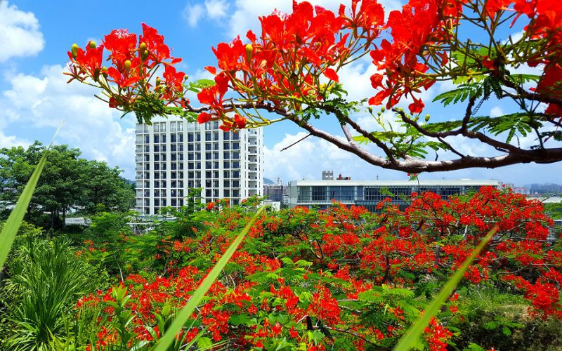 三亚城市职业学院_校园风光_学校景色