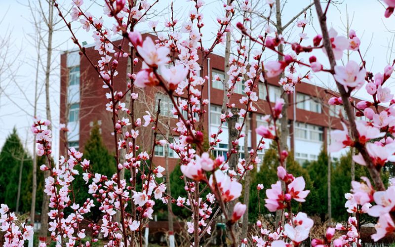 宁夏建设职业技术学院_校园风光_365电子游戏(中国)官方网站景色