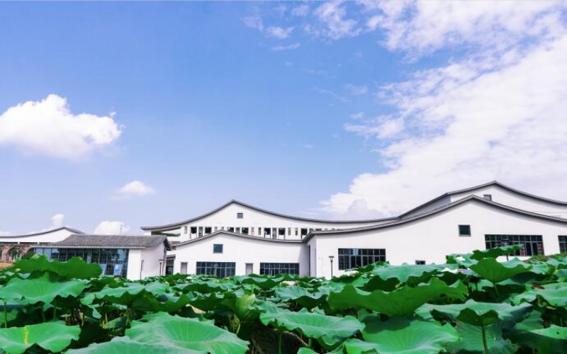 重庆移通学院_校园风光_学校景色