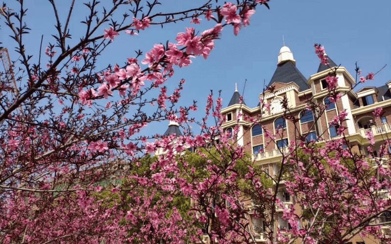 湖南电子科技职业学院_校园风光_学校景色