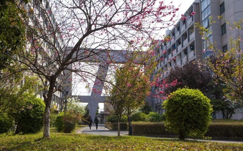 浙江同济科技职业学院_校园风光_学校景色