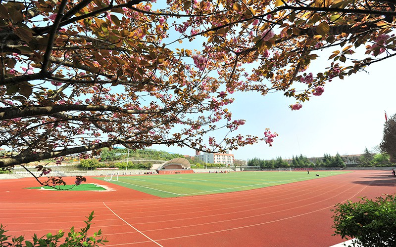 重庆幼儿师范高等专科学校_校园风光_学校景色