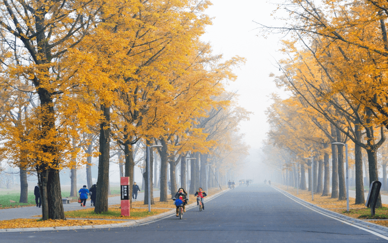 电子科技大学格拉斯哥学院_校园风光_学校景色