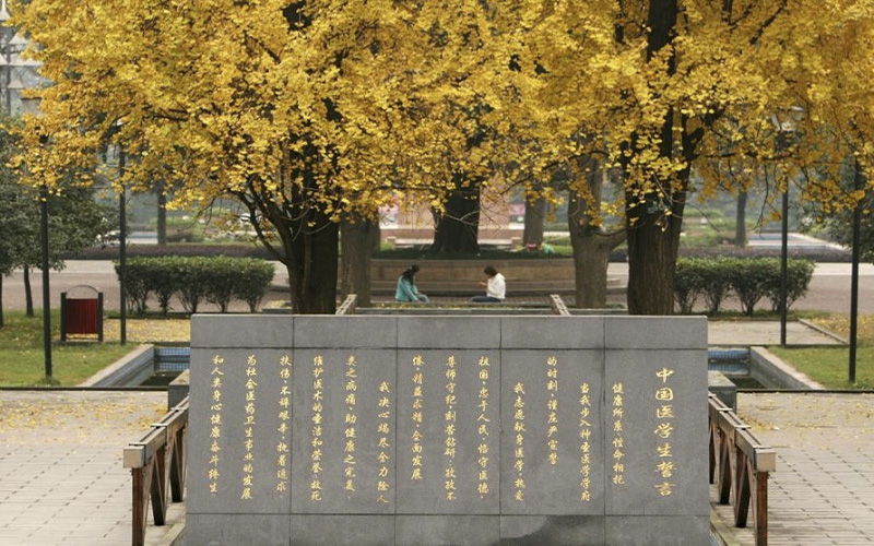 重庆医科大学国际医学院_校园风光_学校景色