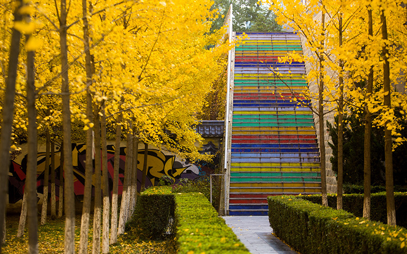 西京学院_校园风光_学校景色