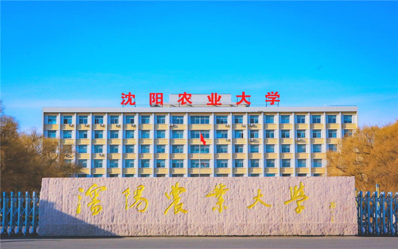 沈阳农业大学_校园风光_学校景色