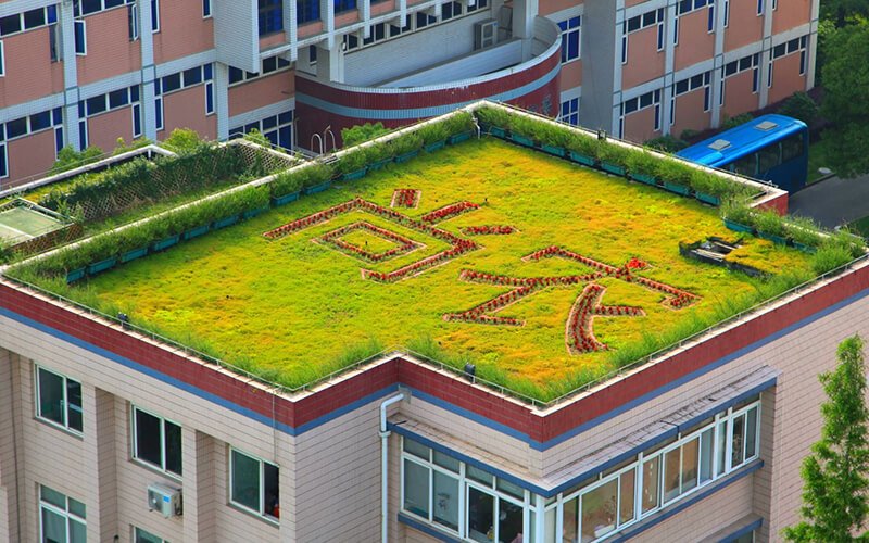 上海农林职业技术学院_校园风光_学校景色