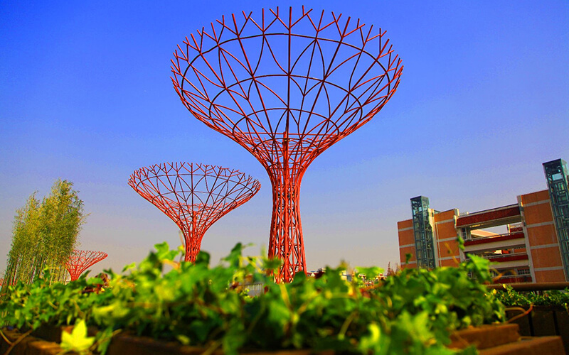 上海农林职业技术学院_校园风光_学校景色