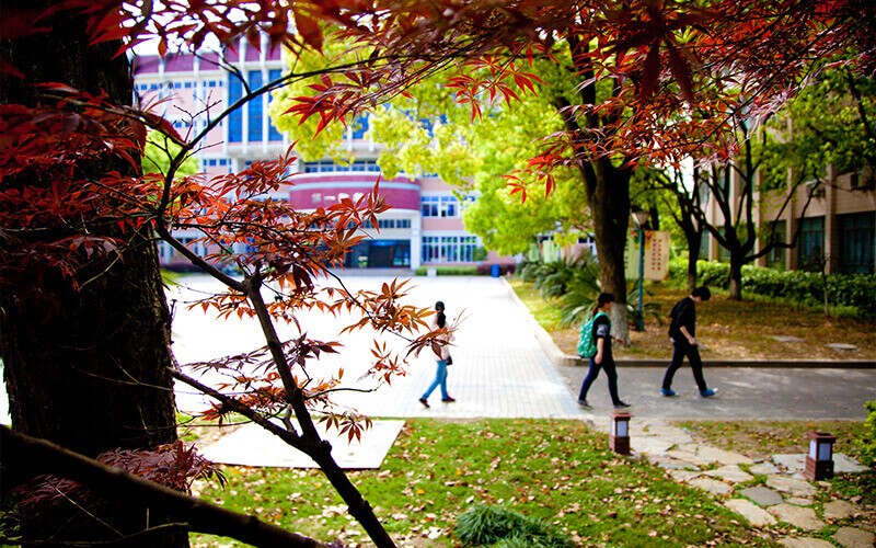 上海农林职业技术学院_校园风光_学校景色