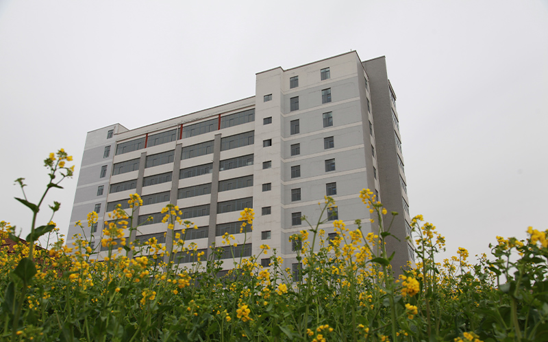 河南质量工程职业学院_校园风光_学校景色