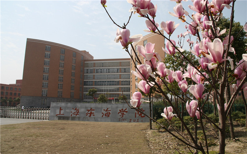 上海东海职业技术学院_校园风光_学校景色