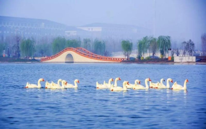 洛阳师范学院_校园风光_学校景色