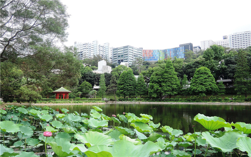 香港中文大学_校园风光_学校景色