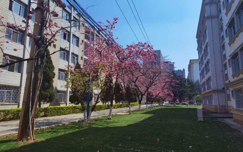 昆明城市学院_校园风光_学校景色