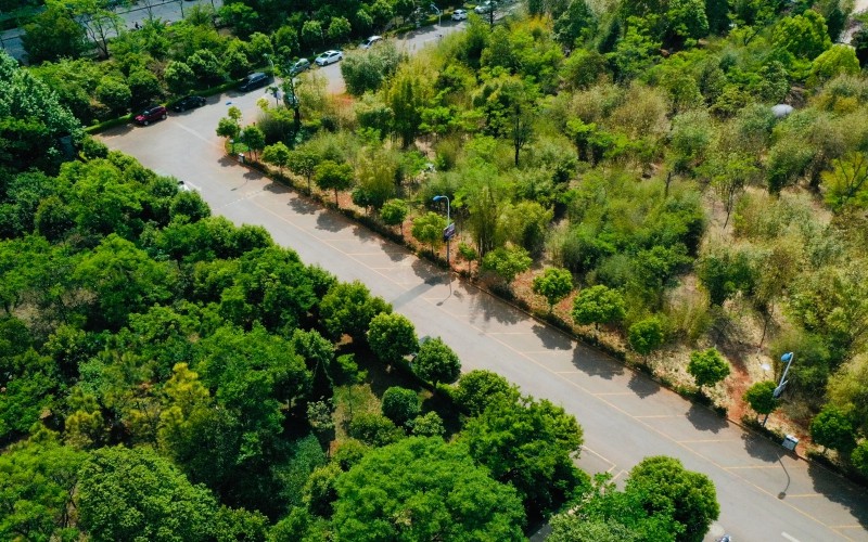 昆明城市学院_校园风光_学校景色