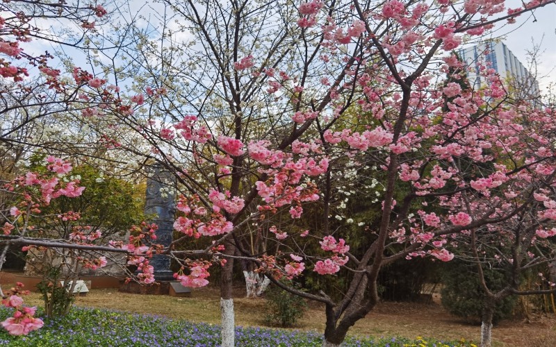 昆明城市学院_校园风光_学校景色