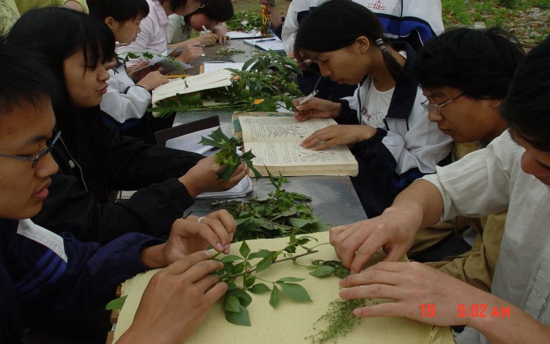 安徽中医药高等专科学校_校园风光_学校景色