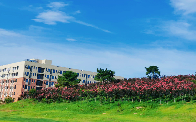 湖北师范大学文理学院_校园风光_学校景色