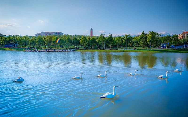 云南大学_校园风光_学校景色