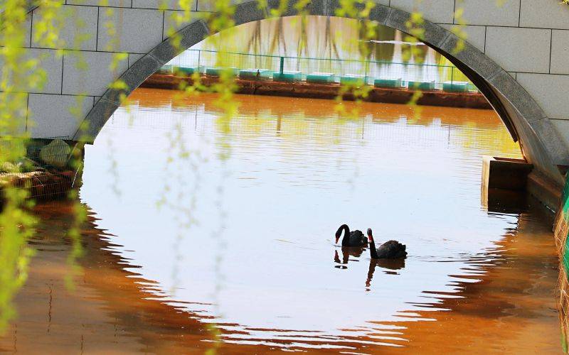 辽宁师范大学海华学院_校园风光_学校景色