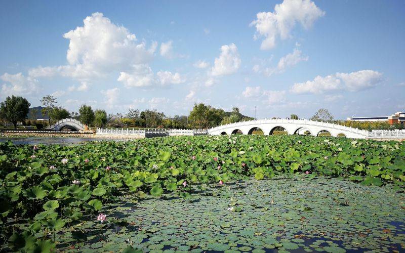 辽宁师范大学海华学院_校园风光_学校景色